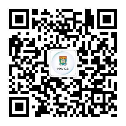 HKU ICB Official Service Account QRCODE