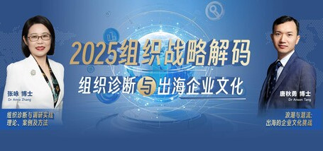 2025组织战略密码：组织诊断与出海企业文化 - 图像