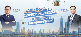 Image of 低空经济中的商业模式与全链路创新：从2C到2G的多维市场营销探索