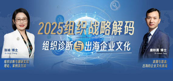 2025组织战略密码:组织诊断与出海企业文化