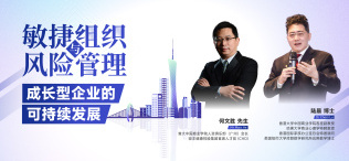 Image of 敏捷组织与风险管理：成长型企业的可持续发展