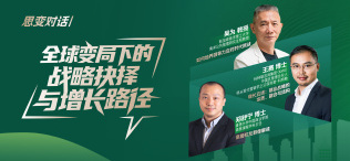 全球变局下的战略抉择与增长路径 - 图像