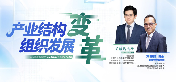 产业结构与组织发展的变革