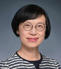 陈肇始教授 Professor Sophia Siu-chee Chan